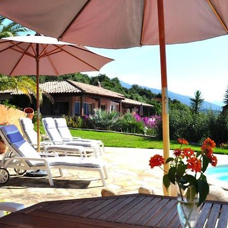 Villa Vetricella Corse Sud Olmeto  Bagian luar foto