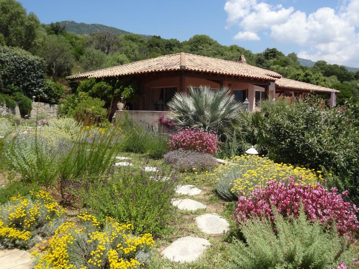 Villa Vetricella Corse Sud Olmeto  Bagian luar foto