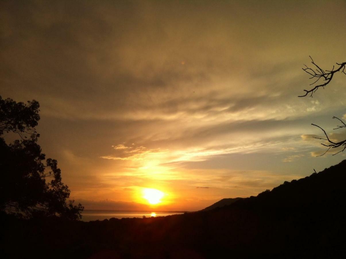 Villa Vetricella Corse Sud Olmeto  Bagian luar foto