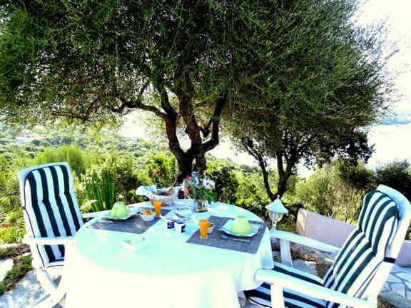 Villa Vetricella Corse Sud Olmeto  Bagian luar foto